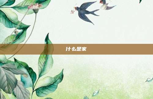 什么是家
