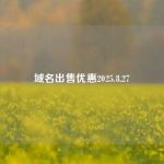 域名出售优惠2025.8.27 - 第1张图片