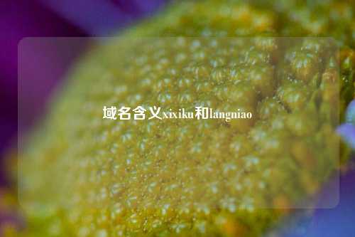 域名含义xixiku和langniao